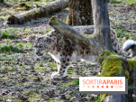 Lumigny Safari Reserve - nos photos