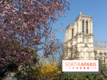 Le Square Viviani devant Notre-Dame de Paris