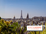Rooftop de Dame des Arts, la terrasse panoramique sur les toits de Paris - photos