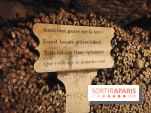 Les Catacombes de Paris - visuels
