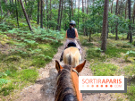 Balade en chevaux Henson en forêt de Fontainebleau