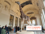 Art Basel 2025 : des installations d'art contemporain originales et gratuites à voir au Petit Palais