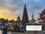 Noël à Disneyland Paris : Disney's Enchanted Christmas - sapin