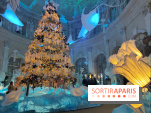 Le Grand Noël 2025 du château de Vaux-le-Vicomte : des décorations magiques pour une balade hivernale mémorable