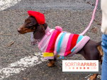 Paris Sausage Walk, la Marche des Teckels 2025