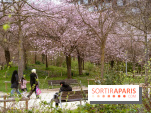 Les cerisiers du parc Martin Luther King - Clichy - Batignoles