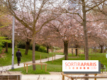 Les cerisiers du parc Martin Luther King - Clichy - Batignoles