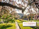 Les floraisons exceptionnelles du Jardin des Plantes 2026 : tulipes, coquelicots et cerisiers - photos - A7C00582