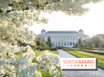 Les floraisons exceptionnelles du Jardin des Plantes 2026 : tulipes, coquelicots et cerisiers - photos