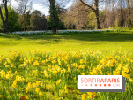 Le Parc de Bagatelle au printemps, cerisier, tulipes et jonquilles - photos