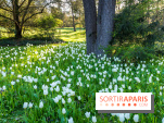 Le Parc de Bagatelle au printemps, cerisier, tulipes et jonquilles - photos