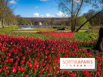 Les tulipes du Château de Dampierre, son jardin anglais et le jardin Le Nôtre