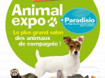 Animal Expo 2010