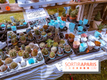 Eden, la Fête des Plantes du Château de la Roche Guyon - photos