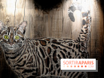 Chacun cherche son chat, nos photos de l'expo à Fluctuart - Expo Chat 11