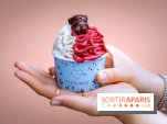 Le comptoir à glaces de Pleincœur et ses coupes glacées - photos