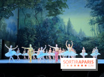 La Bayadère de Noureev à l'Opéra Bastille