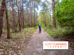Liaisons douces à Fontainebleau : la forêt à vélo, les photos
