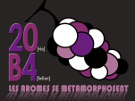 20B4