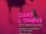 l'ombre des dinosaures