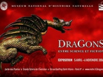 Dragons, entre science et fiction