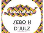 Bass Culture, Rex Club, Sebo k, Djul'z