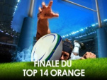 Finale, Top 14, Rugby, Stade de France