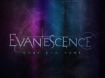 Evanescence, What You Want