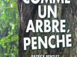 comme un arbre penché