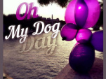 dog day, le lacher de balloon by expo in the city