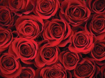 roses rouges