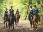 Balade à cheval dans la forêt de Saint-Germain