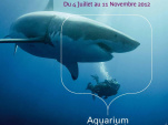 exposition Rencontres sauvages Aquarium Porte dorée,