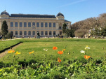 La Fête de la Nature 2014 au Museum - Jardin des Plantes