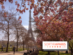 Les cerisiers du Trocadéro fleurissent avec de l'avance