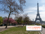 Les cerisiers du Trocadéro fleurissent avec de l'avance en ce printemps 2026