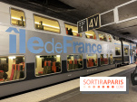 Transports en Île-de-France : Métro, RER : quelles lignes éviter ce week-end des 17 et 18 octobre ?