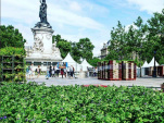 BiodiversiTerre, la place de la République se végétalise !