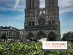 Réouverture du Parvis et de la rue du Parvis de Notre-Dame de Paris
