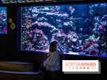 L'Aquarium Tropical de la Porte Dorée se renouvelle 