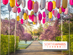 Hanami au Parc de Sceaux 2022, la fête des cerisiers en fleurs