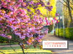 Hanami au Parc de Sceaux 2022, la fête des cerisiers en fleurs