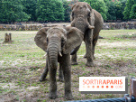Au Zoo de Thoiry, des Lodges immersifs en Terre d'Afrique, avec vue sur les éléphants, se préparent