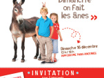 Journée spéciale âne à l'Hippodrome de Paris Vincennes