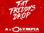 Fat Freddy’s Drop en concert à l’Olympia de Paris en novembre 2015