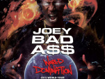 Joey Badass en concert au Bataclan de Paris en novembre 2015