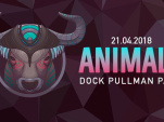 Animalz de retour aux Docks de Paris en avril 2018