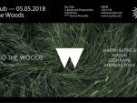 Into the Woods Paris avec Martin Buttrich au Rex Club
