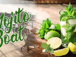 Mojito Boat au Concorde Atlantique