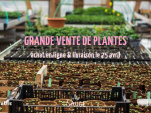 Confinement : grande vente de plantes aromatiques et potagères en ligne